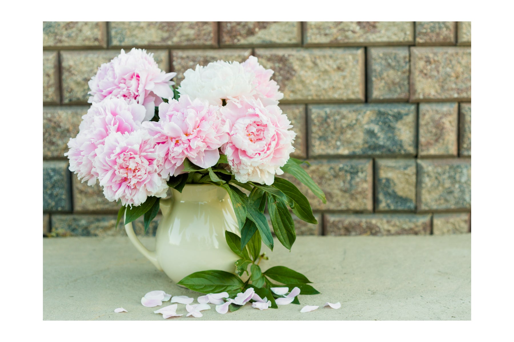 Pink Peonies – Prairie Rose Florals