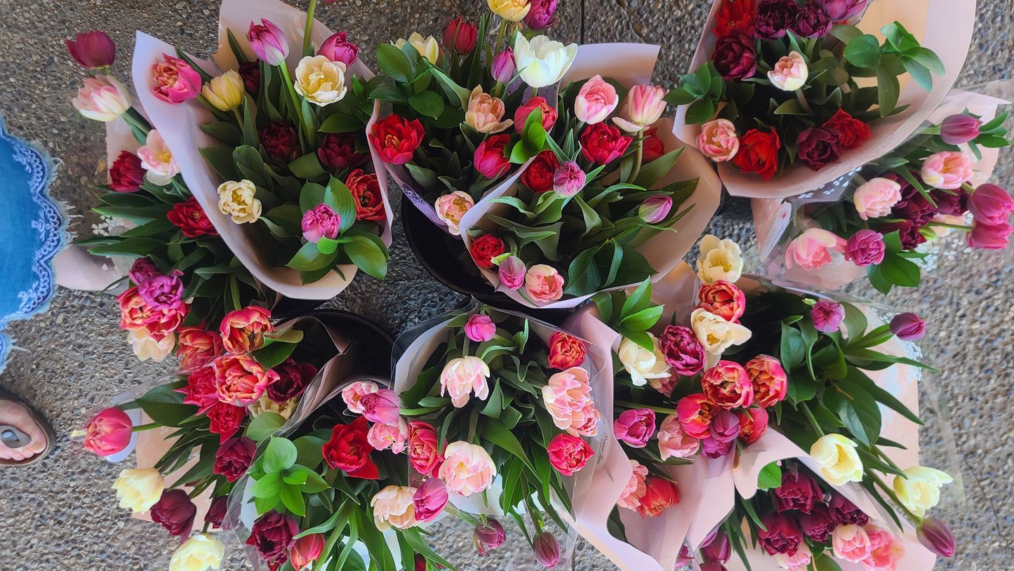 Tulip Bouquets