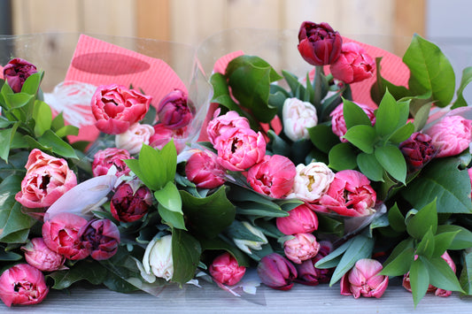 Tulip Bouquets