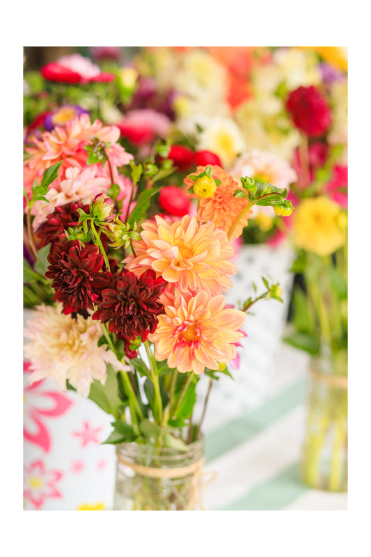 Dahlias in a Vase