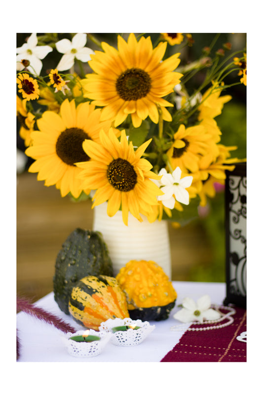 Sunflowers & Gourds 1