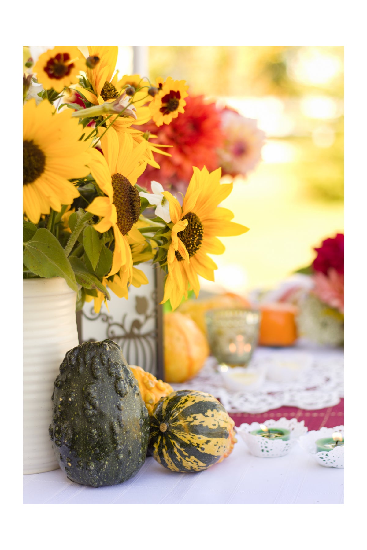 Sunflowers & Gourds 2