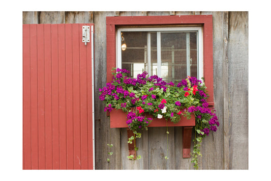 Window Box 2