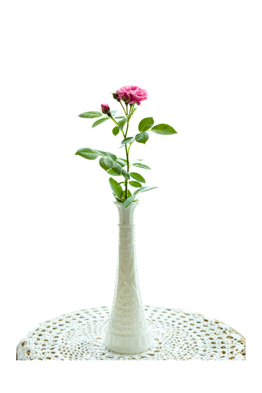 Spray Rose in Bud Vase