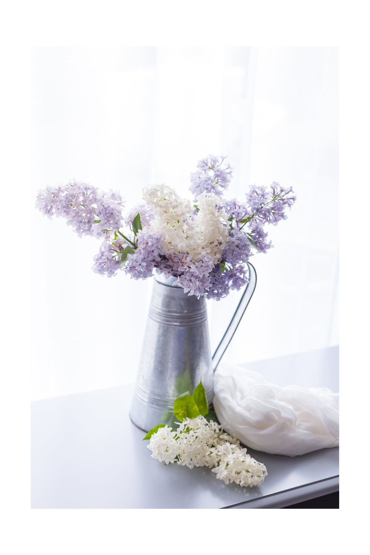 Lilacs in Metal Pitcher